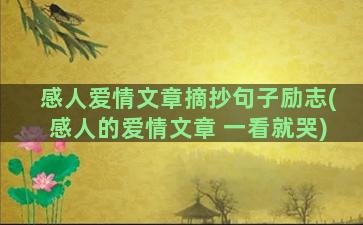 感人爱情文章摘抄句子励志(感人的爱情文章 一看就哭)